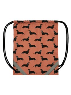 Мешок для обуви школьный 925 "Таксы" терракотовый r.store - фото 7758